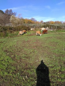 Azienda Agricola LA CONCIA agriristoro