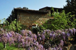 B&B La Casa sulla Collina d'Oro