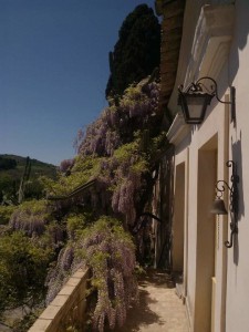 B&B Casa Museo Elio Romano