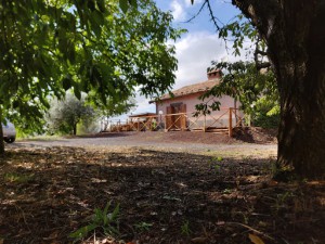 Mount Etna Chalet