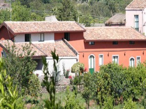 Bed and Breakfast Baglio delle Rose