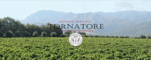 Cantine Tornatore