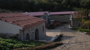 Azienda Agricola Zootecnica 