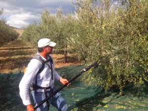 Azienda Agricola biologica Pagano