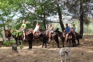 Etna Donkey Trekking