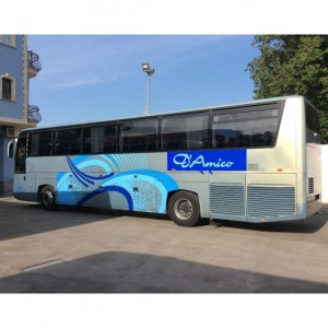 Noleggio Bus D'Amico