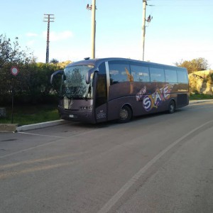 Autoservizi New Sae Noleggio Bus