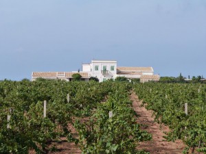 Podere Fossarunza di Carlo Manzo - Ristorante