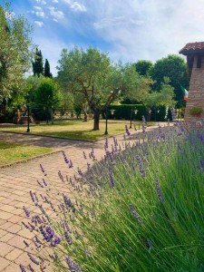 Agriturismo Panta Rei