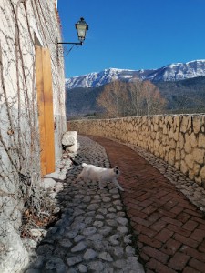 B&B l'armonica di nonno Sandro