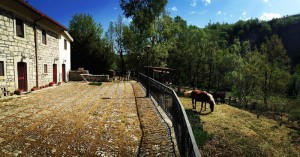 B&B Casa San Quirico