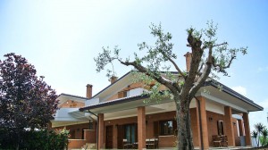 Villa Emilia - Bed & Breakfast