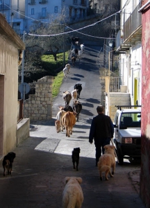 Hotel Antico Pastificio Sarubbi