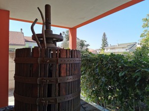 Cantina Tollo