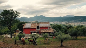 Agriturismo Terra Verde