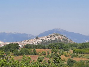 Agriturismo Fiore