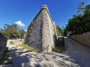 B&B La Collina degli Ulivi