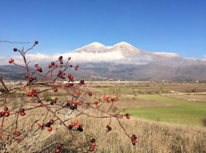 Le Radici Del Gusto