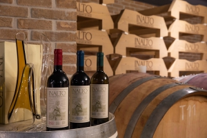 INALTO Vini d'Altura di Adolfo De Cecco