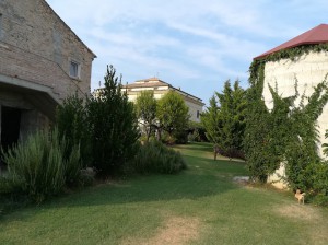 Agriturismo La Nora