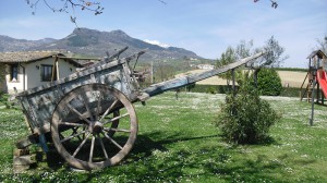 Agriturismo Il Carro