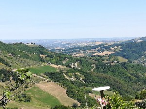 La Collina dei fichi