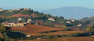 Agricosimo Società Agricola