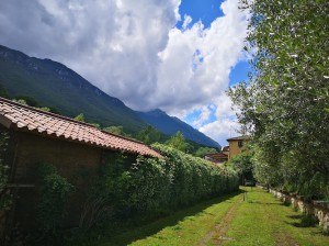 Locanda Del Ponte