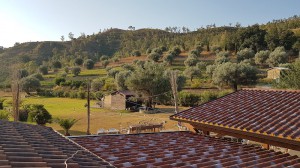 Agriturismo La Sena