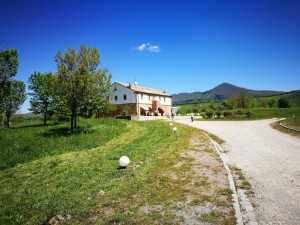 Cantuccio del Vulture