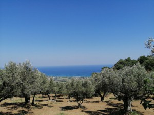 Azienda Agricola Vono Antonio - PRODOTTI CASEARI TIPICI - Punto Vendita