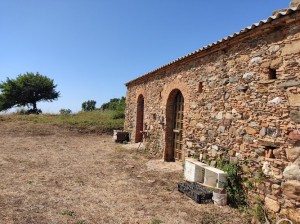 CALABRIA INCONTAMINATA