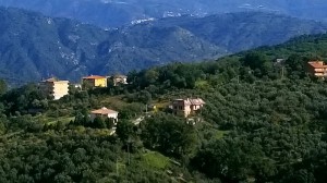 B&B Villa Giglio