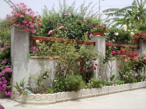 B&B Villa delle Rose - Bova Marina - Reggio Calabria