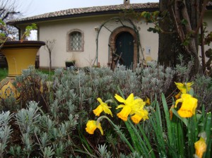 B&B Alla Palombara di Rossano