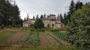 AGRITURISMO SILA