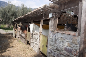 Agriturismo LE GROTTE di Caridi Carmela Fortunata