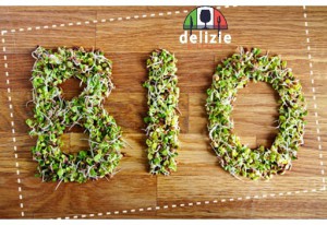 Delizie D'Italia