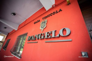 Casa Vinicola D'Angelo