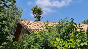 La Cascina Del Monastero Di Antonio Borello