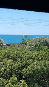 La Bottega Della Pasta Di Losardo Maria Grazia