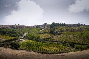 Cantina Meana Terra del Mandrolisai