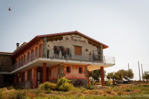 Agriturismo con Camere Le Vigne Ducali Ristorante