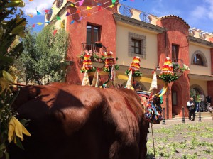 Hotel VillaMadau, Boutique Hotel