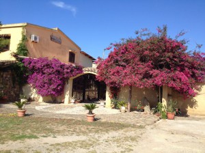 Agriturismo il Ruscello