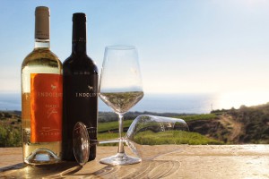 Tenuta Asinara Degustazioni