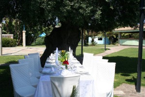 RISTORANTE I MILLENARI NUOVA GESTIONE