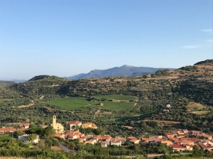 B&B Il giardino degli aranci