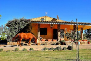 Agriturismo Monte Majore