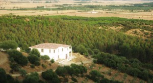 Agriturismo Su Madau Gioiosu